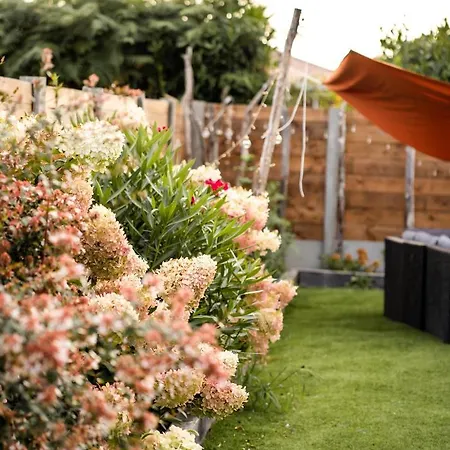 Evasion Bassin La Albatros Willa